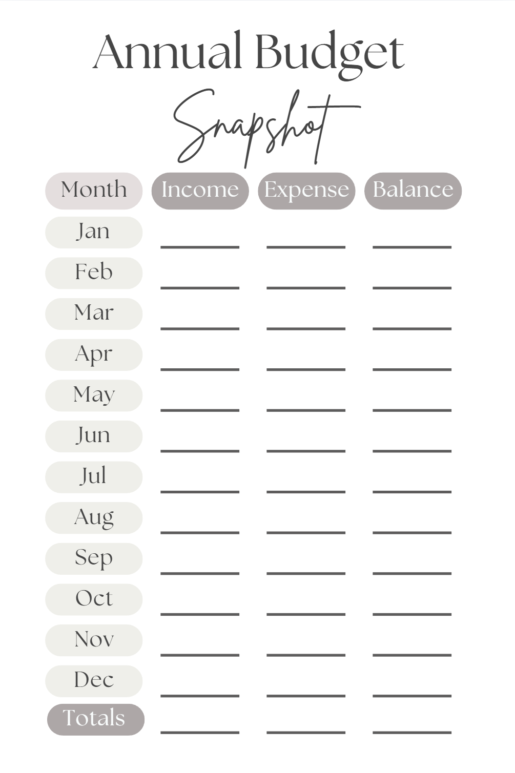 Budget Planner (DIGITAL PDF FILE)