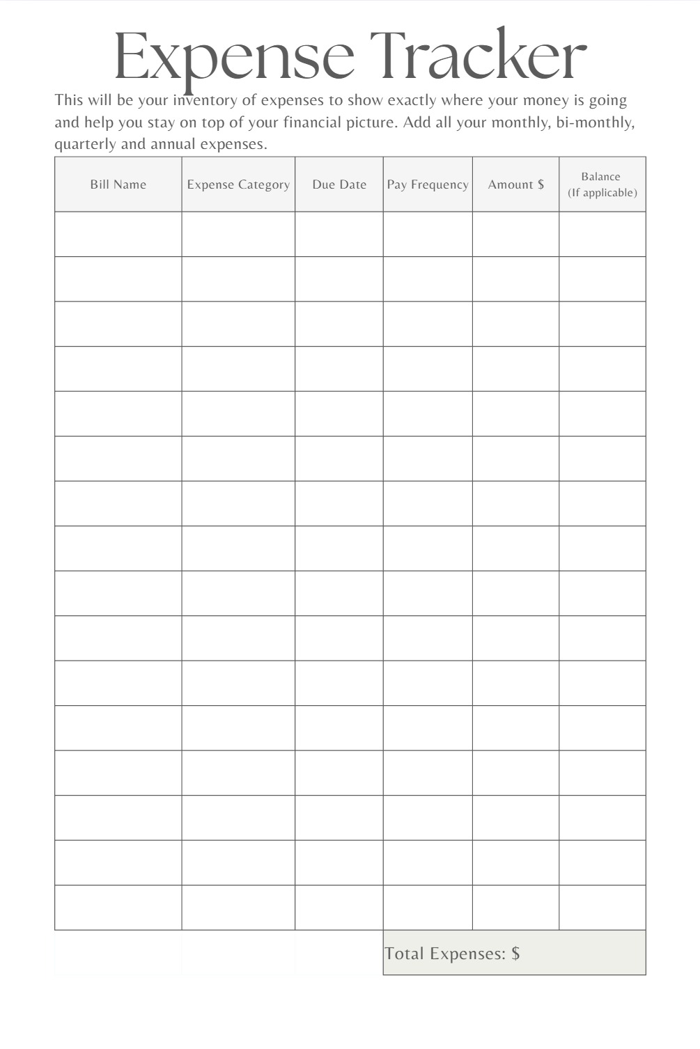 Budget Planner (DIGITAL PDF FILE)