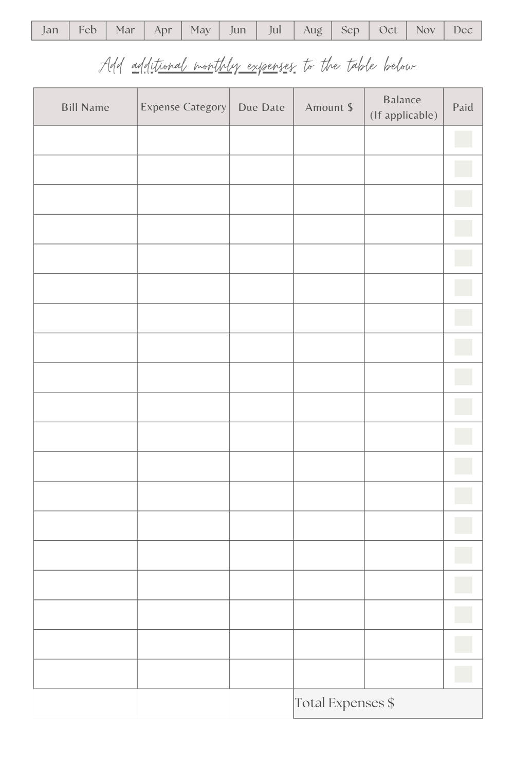 Budget Planner (DIGITAL PDF FILE)