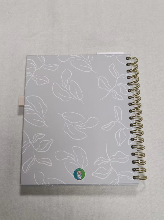 Budget Buddy+ Planner