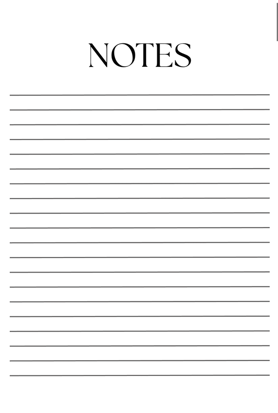 Budget Planner (DIGITAL PDF FILE)