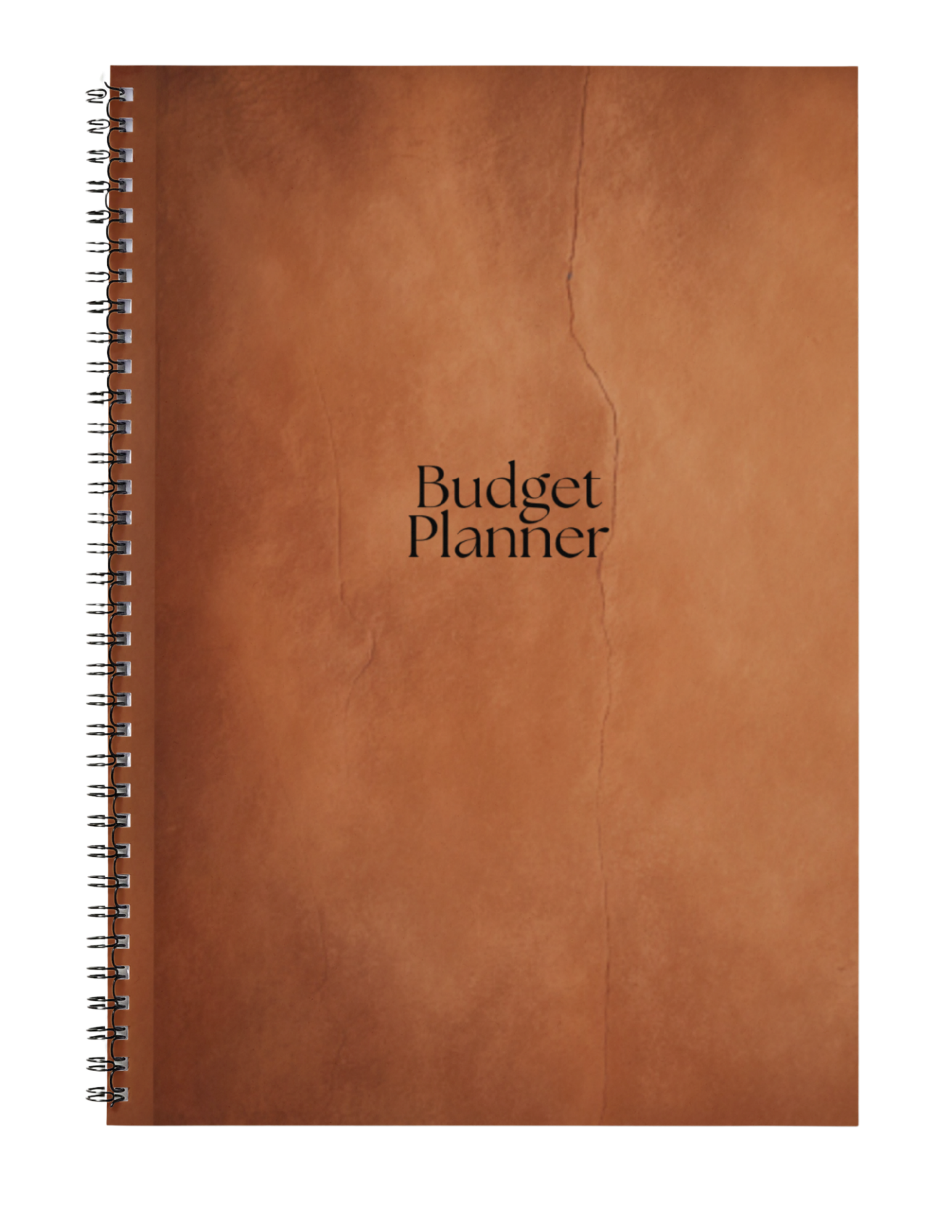 Budget Planner Leather