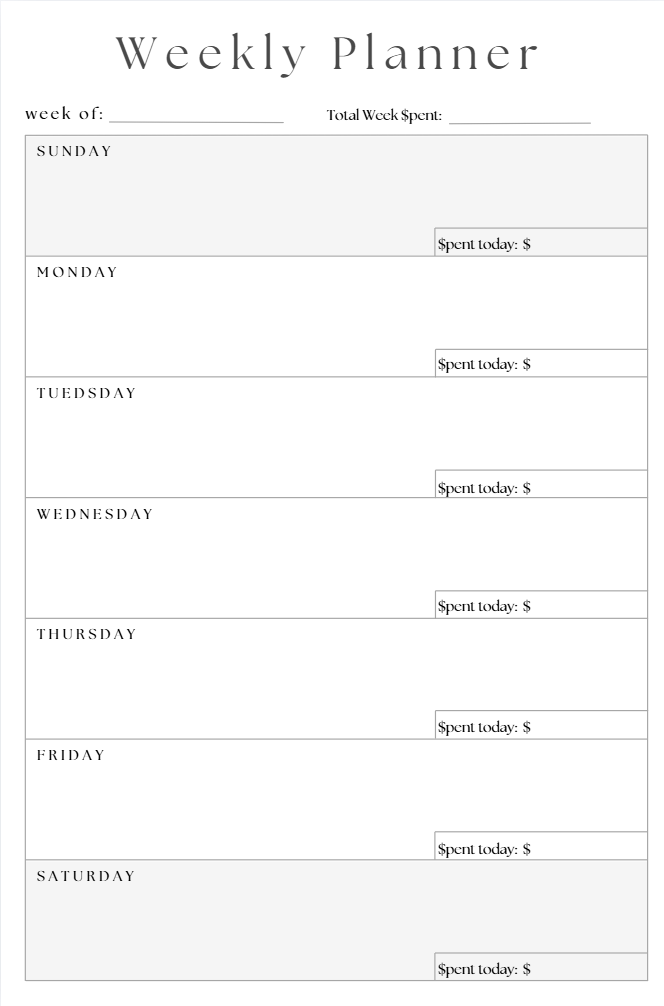 Budget Planner (DIGITAL PDF FILE)